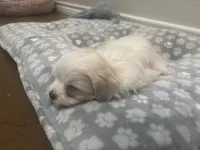 processed/217ecb50-6e5c-45ce-859e-d6a925cc8592/listing/5b244d53-fbf7-4eee-bcc6-cb08781400b0/5fb42ed9-85bd-4c37-8418-1ffa5c2dbdc0