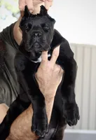 processed/21815d89-d393-4388-8caa-13f421adf6fb/listing/43390a88-05ab-4895-a3ed-96918696b508/05f424dd-017c-4913-a46d-158227b58406