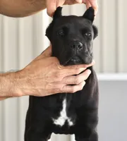 processed/21815d89-d393-4388-8caa-13f421adf6fb/listing/43390a88-05ab-4895-a3ed-96918696b508/7b8b9ac1-3ecf-48e5-9811-5ab257664269