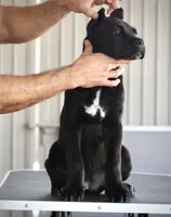 processed/21815d89-d393-4388-8caa-13f421adf6fb/listing/43390a88-05ab-4895-a3ed-96918696b508/8918058d-9bed-406e-adfb-0954b494886e