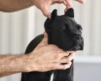 processed/21815d89-d393-4388-8caa-13f421adf6fb/listing/43390a88-05ab-4895-a3ed-96918696b508/a68fe606-8e2a-441f-9b92-01122b89fff8