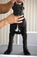 processed/21815d89-d393-4388-8caa-13f421adf6fb/listing/43390a88-05ab-4895-a3ed-96918696b508/b7b76d18-a38c-4c5c-86ad-7103cd0b6f37