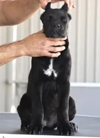 processed/21815d89-d393-4388-8caa-13f421adf6fb/listing/43390a88-05ab-4895-a3ed-96918696b508/d4c1610b-57df-4eae-bebe-5cfb32f9c506