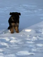 processed/2182f722-eb08-4022-aca0-297d88763044/listing/04e2ba5e-e735-4368-ba87-a645fb472b7f/47a4a40c-d98e-4e7a-a627-58c9aa083393