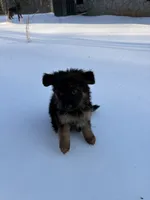 processed/2182f722-eb08-4022-aca0-297d88763044/listing/04e2ba5e-e735-4368-ba87-a645fb472b7f/a5077bf5-882e-4fbd-9153-ee33156b52a3