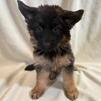 processed/2182f722-eb08-4022-aca0-297d88763044/listing/04e2ba5e-e735-4368-ba87-a645fb472b7f/b40a7fd1-29d3-47ce-86b8-b908c8b46e09