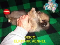 processed/2184bf94-6380-413d-90bf-692895cd0b1b/listing/1d11f5b0-9c44-4b20-aed7-85c4a1cc4d9e/73da2239-9103-4668-8654-9bcc3ee4c720