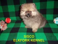 processed/2184bf94-6380-413d-90bf-692895cd0b1b/listing/1d11f5b0-9c44-4b20-aed7-85c4a1cc4d9e/7e38e9bb-b21f-4d44-94a4-38d67d21cc5d