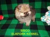 processed/2184bf94-6380-413d-90bf-692895cd0b1b/listing/1d11f5b0-9c44-4b20-aed7-85c4a1cc4d9e/8ae7411f-891d-4335-bbd9-b0729ed75ad3