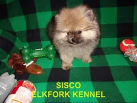 processed/2184bf94-6380-413d-90bf-692895cd0b1b/listing/1d11f5b0-9c44-4b20-aed7-85c4a1cc4d9e/d870e23d-746f-48a6-8284-f167aecd8570