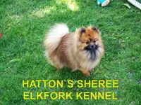 processed/2184bf94-6380-413d-90bf-692895cd0b1b/listing/1d11f5b0-9c44-4b20-aed7-85c4a1cc4d9e/ec74dd24-1455-48d1-959a-4237e1c120a9