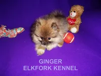 processed/2184bf94-6380-413d-90bf-692895cd0b1b/listing/c428b060-e2b9-4e78-bc84-ae43465dd1f3/2b43adb0-ef2a-4921-8e32-1ec02c263fed