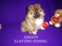 processed/2184bf94-6380-413d-90bf-692895cd0b1b/listing/c428b060-e2b9-4e78-bc84-ae43465dd1f3/4295d30b-994b-4290-a126-1174069ea0fe