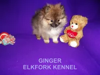 processed/2184bf94-6380-413d-90bf-692895cd0b1b/listing/c428b060-e2b9-4e78-bc84-ae43465dd1f3/50be4b46-b244-44d6-b714-d67106b879b0