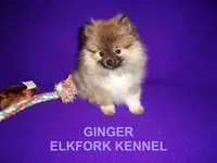 processed/2184bf94-6380-413d-90bf-692895cd0b1b/listing/c428b060-e2b9-4e78-bc84-ae43465dd1f3/6d3a6d66-7668-44c2-bbca-7bd15231092b