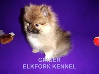 processed/2184bf94-6380-413d-90bf-692895cd0b1b/listing/c428b060-e2b9-4e78-bc84-ae43465dd1f3/7f9c45aa-9ec9-49b3-a626-9efde9d35590