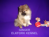 processed/2184bf94-6380-413d-90bf-692895cd0b1b/listing/c428b060-e2b9-4e78-bc84-ae43465dd1f3/8d196cfc-0c68-4d29-9582-32c2f85d1eae