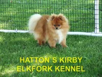 processed/2184bf94-6380-413d-90bf-692895cd0b1b/listing/c428b060-e2b9-4e78-bc84-ae43465dd1f3/90e2a949-27c6-45cf-ad7e-df9844546110