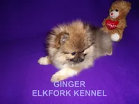 processed/2184bf94-6380-413d-90bf-692895cd0b1b/listing/c428b060-e2b9-4e78-bc84-ae43465dd1f3/d63b1fe4-5a76-4d63-ad73-30fa84572d97