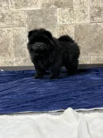 processed/218e936f-d008-453b-b895-b17ee10401fb/listing/cce14bf7-f1b0-4e71-b4cd-0e38c56a6d19/22b2689a-fa8c-417c-820d-c0db47dab7ab