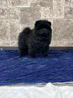 processed/218e936f-d008-453b-b895-b17ee10401fb/listing/cce14bf7-f1b0-4e71-b4cd-0e38c56a6d19/724effe6-6c26-42fb-b606-e7968ce3fea2