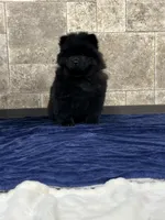 processed/218e936f-d008-453b-b895-b17ee10401fb/listing/cce14bf7-f1b0-4e71-b4cd-0e38c56a6d19/78b420d1-b069-407d-a7d8-391566e2adef