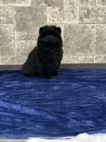 processed/218e936f-d008-453b-b895-b17ee10401fb/listing/cce14bf7-f1b0-4e71-b4cd-0e38c56a6d19/d0e9e2bd-c446-4e5b-a265-c686db018142