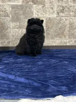 processed/218e936f-d008-453b-b895-b17ee10401fb/listing/cce14bf7-f1b0-4e71-b4cd-0e38c56a6d19/d80df0dd-3466-49fa-afe6-667fbc273c3c