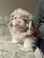 processed/2195b0cc-4518-4710-92e1-0247c453aab9/listing/ec40f09a-d618-487f-8479-fafc03e09a84/48d56048-ced9-45eb-a5cb-381291b55ab9