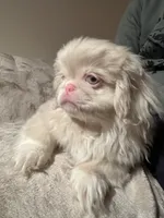 processed/2195b0cc-4518-4710-92e1-0247c453aab9/listing/ec40f09a-d618-487f-8479-fafc03e09a84/87c0ea9b-852b-4d72-9ddd-a13bf182fb24