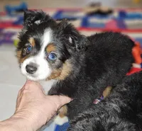 processed/219f2f5f-252b-4262-bced-0bd821750224/listing/7fff2e74-ea8f-4c0c-b573-e4ee63d5d0b4/75de25e6-efda-4721-ba66-264403d4ac8d