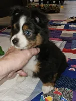 processed/219f2f5f-252b-4262-bced-0bd821750224/listing/7fff2e74-ea8f-4c0c-b573-e4ee63d5d0b4/9bdb65fe-6bfb-4e7d-a385-f8b71292e7ba