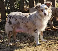 processed/219f2f5f-252b-4262-bced-0bd821750224/listing/7fff2e74-ea8f-4c0c-b573-e4ee63d5d0b4/bf0d096c-a6a9-49ef-8955-e9c099c2a59b