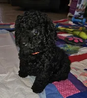 processed/219f2f5f-252b-4262-bced-0bd821750224/listing/b210db34-4bcb-4896-ae29-28d6bb83b0bc/305496f9-359e-4045-9688-1c4ef04bda2c