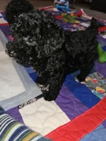 processed/219f2f5f-252b-4262-bced-0bd821750224/listing/b210db34-4bcb-4896-ae29-28d6bb83b0bc/4215d14d-bf8b-4bbc-8602-0b87ccc6458e