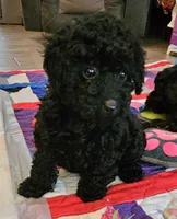 processed/219f2f5f-252b-4262-bced-0bd821750224/listing/b210db34-4bcb-4896-ae29-28d6bb83b0bc/a978f337-e8a7-4a62-af9e-37d47e24065e