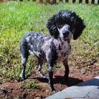 processed/219f2f5f-252b-4262-bced-0bd821750224/listing/e386f86d-7b60-44ea-a6ee-a44bb03c27f9/2b310e20-f4bf-4a3b-b7cb-f9426f9867c5