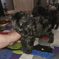 processed/219f2f5f-252b-4262-bced-0bd821750224/listing/e386f86d-7b60-44ea-a6ee-a44bb03c27f9/a76a8181-5e03-4d38-a272-0aeb1827a59a