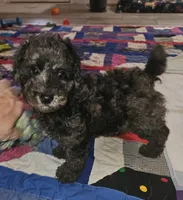 processed/219f2f5f-252b-4262-bced-0bd821750224/listing/e386f86d-7b60-44ea-a6ee-a44bb03c27f9/acaac4d1-8456-487d-af29-48b8853fc362