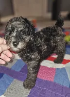 processed/219f2f5f-252b-4262-bced-0bd821750224/listing/e386f86d-7b60-44ea-a6ee-a44bb03c27f9/b2b22805-da6f-43da-8151-0f07b85c18ae