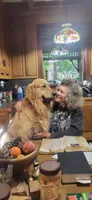 Pink Girl, a female Golden Retriever for sale in Grand Rivers, KY – 2 of 6
