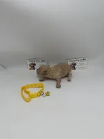 Male, a female Poodle - Toy  for sale in Lyons, GA – Photo 3 of 3