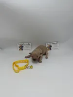 Male, a female Poodle - Toy  for sale in Lyons, GA – Photo 2 of 3