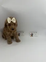 AKC female , a female Poodle - Toy  for sale in Lyons, GA – 1 of 2