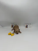 Female , a female Poodle - Toy  for sale in Lyons, GA – Photo 2 of 3