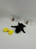 Black female , a female Poodle - Toy  for sale in Lyons, GA – 3 of 3