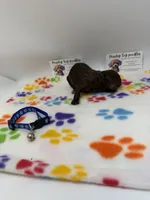 Chocolate Male, a male Poodle - Toy  for sale in Lyons, GA – 3 of 4