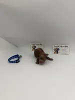 Red male, a male Poodle - Toy  for sale in Lyons, GA – 2 of 3