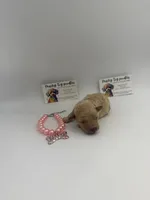 Apricot female , a female Poodle - Toy  for sale in Lyons, GA – 1 of 4