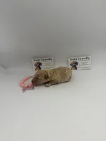 Apricot female , a female Poodle - Toy  for sale in Lyons, GA – 3 of 4